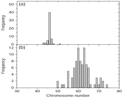 Figure 1: Chromosome Numbers of Finite and Continuous Cell Lines.
