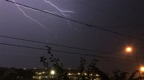 4 men collapse instantly after lightning strikes tree in Gurugram, 1 ...