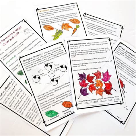 4 Number Relationships Children Need to Learn - peanut butter fish lessons