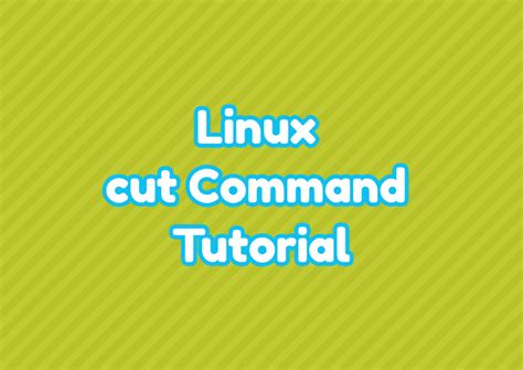 Cut Syntax in Linux 的图像结果