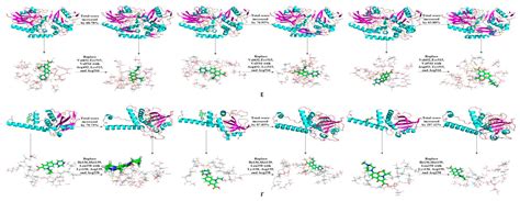 Molecular Modification of Fluoroquinolone-Biodegrading Enzymes Based on ...