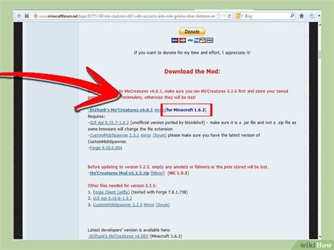 Image result for Comment Installer Le Mod Flash