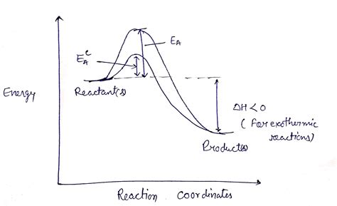 Exothermic Reaction Diagram