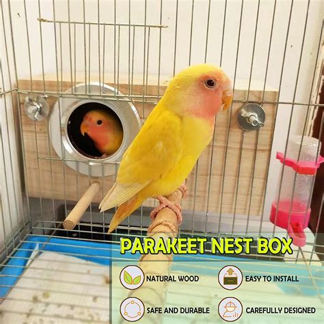 Image result for Parakeet Breeding Box