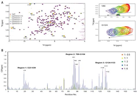 Epigallocatechin-3-gallate Directly Binds Cyclophilin D: A Potential ...