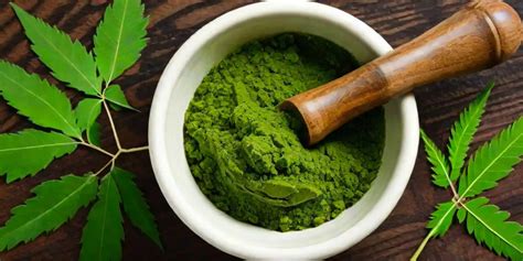 Neem Powder: The Unsung Hero of Natural Remedies
