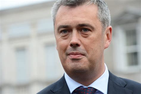 Mink eradication scheme being piloted in Midlands in first step towards ...