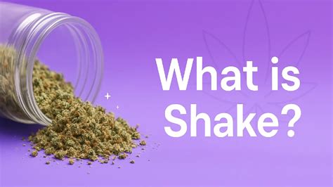 What is Shake Cannabis? | Affordable Uses & Benefits | BakeBoxx