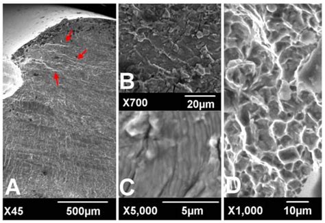 Fatigue Crack Growth | Encyclopedia MDPI