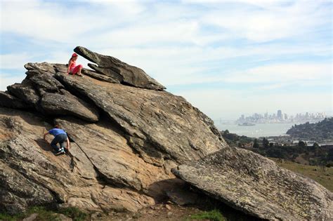 Spectacular Views and Spring Wildflowers Await at Ring Mountain | Marin ...