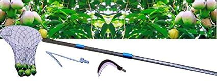 Polyguards Telescopic Long 18ft Reach Fruit Picker/Plucker (Mango ...