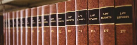 Image result for Example of a Tort