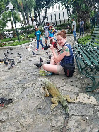 Parque de las Iguanas (Guayaquil) - 2019 What to Know Before You Go ...