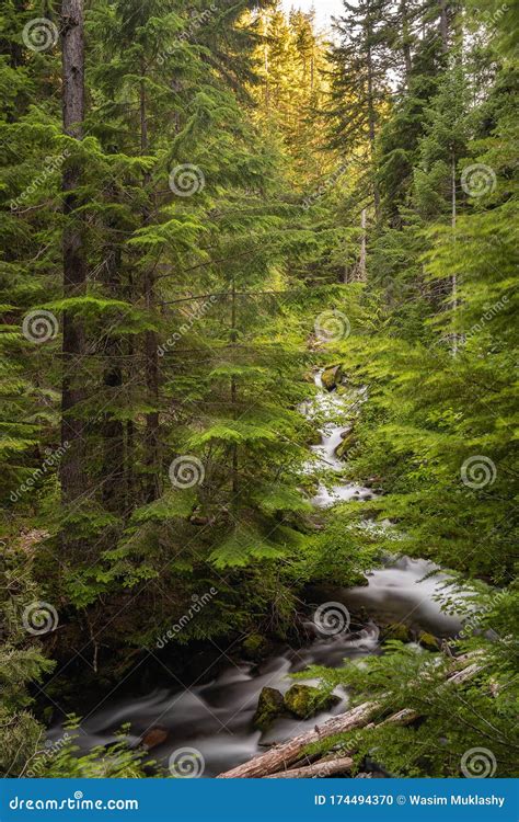 The Hike To Tamanawas Waterfall in the Mount Hood National Forest in ...