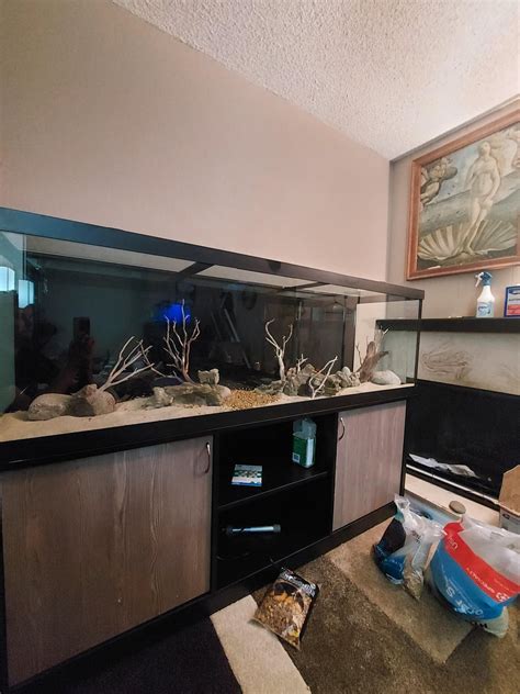 Image result for Low-Tech Discus Tanks