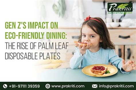 Gen Z's Impact on Eco-Friendly Dining: The Rise of Palm Leaf Disposabl ...