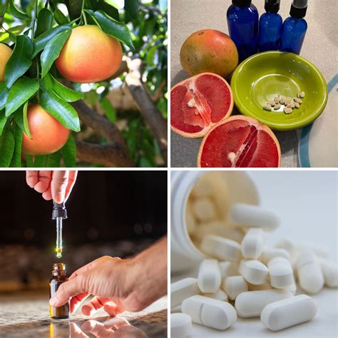 Grapefruit Seed Effect at Georgia Challis blog