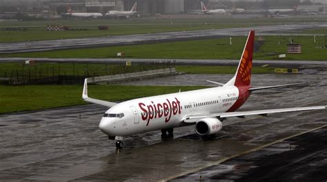 Image result for SpiceJet Flight Fights