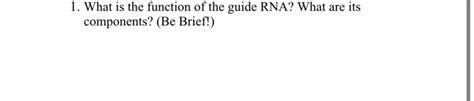 Guide RNA Function 的图像结果
