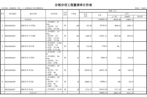 分部分项工程量清单计价表_word文档在线阅读与下载_免费文档