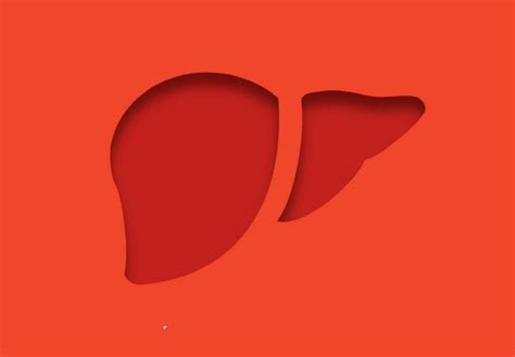 Hígado graso: la nueva pandemia - Martha Debayle