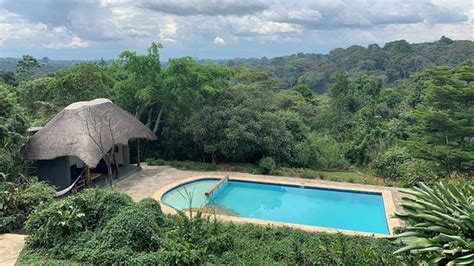 TURACO TREETOPS (Kibale National Park) - Lodge Reviews & Photos ...
