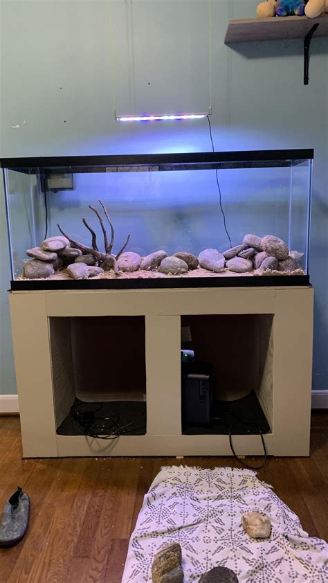 Any tips for tank setup for my soon to be Axolotl? : r/axolotls