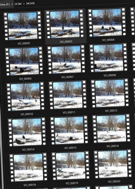 Trail Camera to Computer 的图像结果