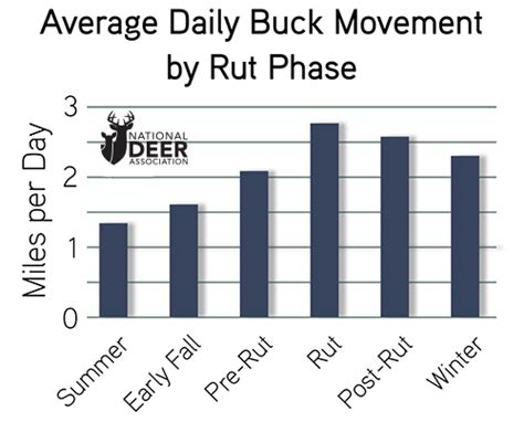 Deer Movement is a Mystery. Stop Trying to Solve It. | National Deer ...