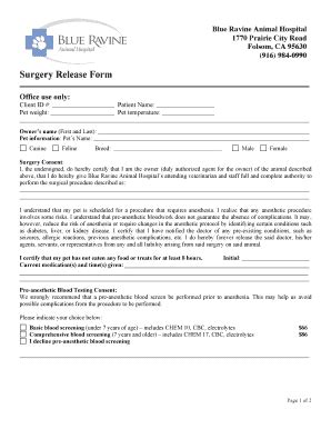 Fillable Online Surgery Release Form - Blue Ravine Animal Hospital Fax ...