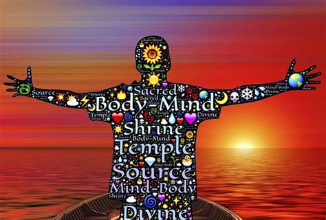 Image result for The Mind Body Problem Explained