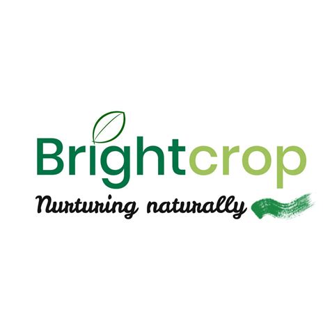 Bajra: 4 Health Benefits, Nutrition and Its Uses – Brightcrop Agro