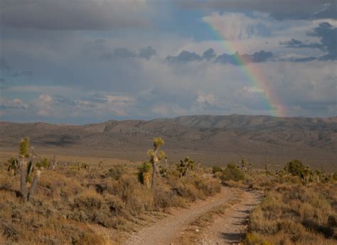Desert National Wildlife Refuge | U.S. Fish & Wildlife Service