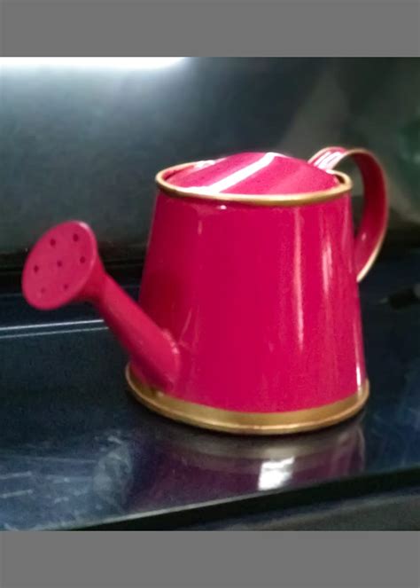 Get Pink 250 Ml Mini Garden Watering Can For Plants For Kids at ₹ 449 ...