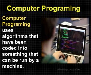 Computer Programing 的图像结果