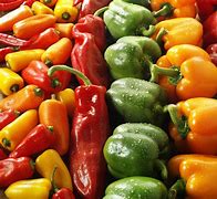 Image result for 甜椒 Sweet bell peppers