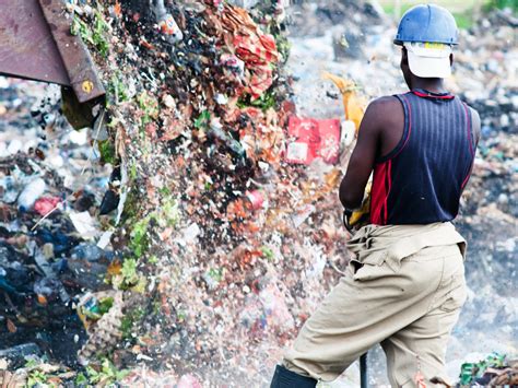 Terra Nova Waste to Farming | seed.uno