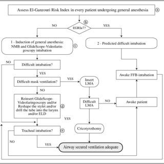 Image result for Difficult Airway Algorithm