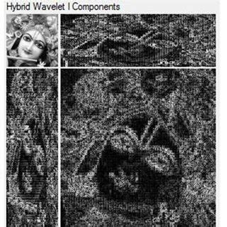 Feature Extraction Using Wavelet Transform 的图像结果