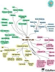 Mind Map: Cell: The Unit of Life - Biology Class 11 - NEET PDF Download