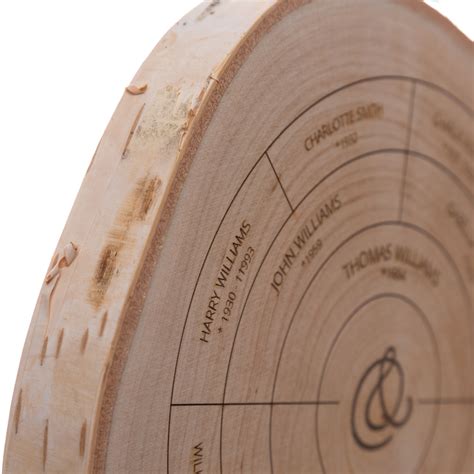 Image result for Family Tree Small Tree