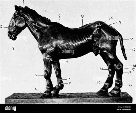 Chart no 2 hi-res stock photography and images - Alamy