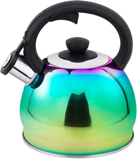 HausRoland Tea Kettle 2.1 Quart Stainless Steel India | Ubuy