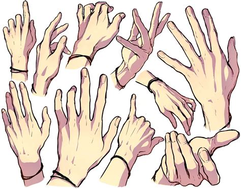 Hand drawing reference, Drawing reference, How to draw hands