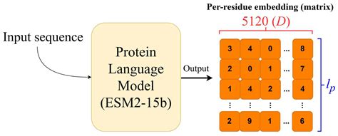 Embedding-Based Alignments Capture Structural and Sequence Domains of ...