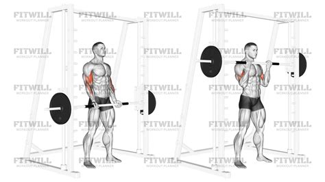 Image result for Bicep Curl Machine Guide