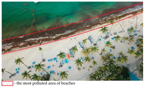 The Problem of Removing Seaweed from the Beaches: Review of Methods and ...