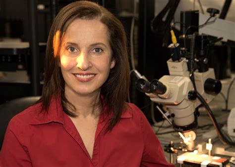 Visual Perception Part 1: Fundamentals of Vision: Low and Mid-Level ...