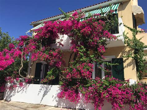 Casa Buganvilla - Minia, Kefalonia