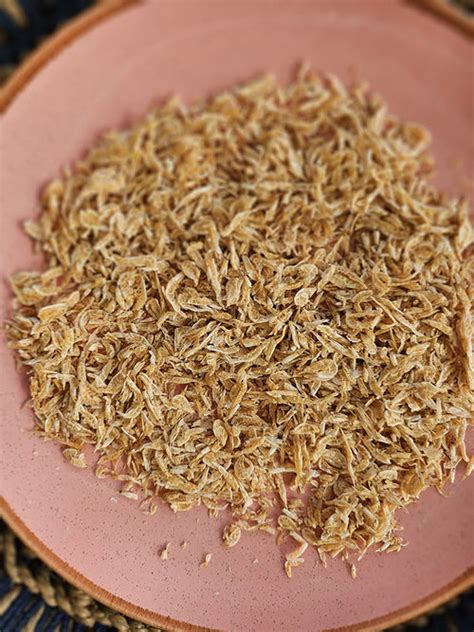 India's First Species-Appropriate Pet Food - Canine India